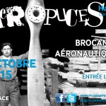 Affiche Aéropuces 2015