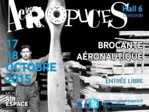 Affiche Aéropuces 2015