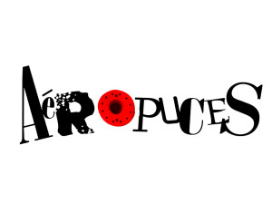 Aéropuces 2016