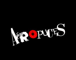 Aéropuces 2016