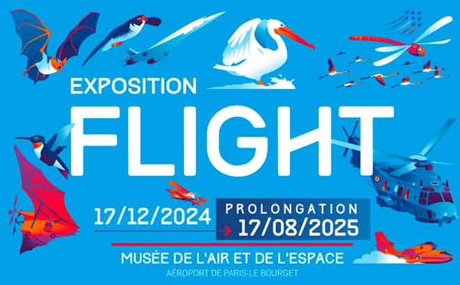 Prolongation exposition Flight