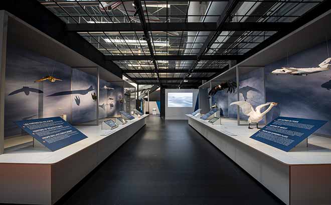 Derniers jours pour visiter l’exposition Flight